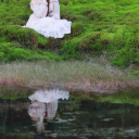 bees-knees-and-toes avatar