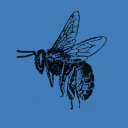 bees-trek-blog avatar