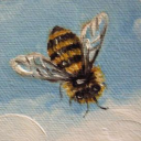 beesandtheuniverse avatar