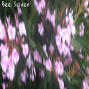 beesaver-blog avatar