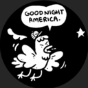 beesdontexist avatar