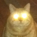 beesechurgerho avatar