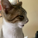 beesupportsquad avatar