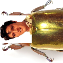 beetle-elvis avatar