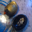 beetle-teeeth avatar