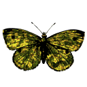 beetlebethwrites avatar