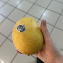 beetlebugbeetle avatar