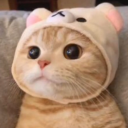 beetlebugwrld avatar