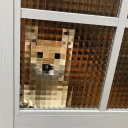 beetlefreaker avatar