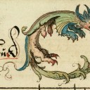 beetlesinthebog avatar