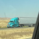 beetlesneedles avatar