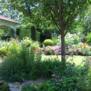 before-i-forgett avatar