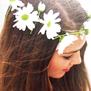 beforecollapse avatar