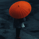 beforelightzout avatar