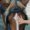 begonaguerrero avatar