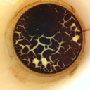 beheaded-queen avatar