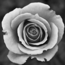 beherenowbitch-blog avatar