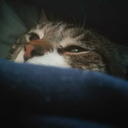 behereorbesqueer avatar