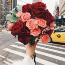 behind-lifes-walls avatar