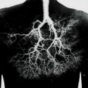 behindthesun777 avatar