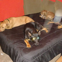 being-unloved-while-loving avatar