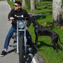 beingachopperdude avatar