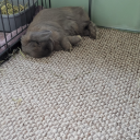 beingmentalisgood avatar