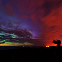 beingsenseless avatar