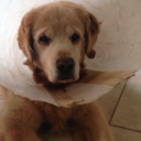 beingweirdandlovingit avatar