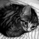 bejangles-blog-blog avatar