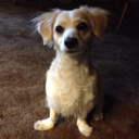 bekakay209-blog avatar