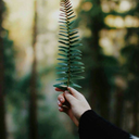 beklenenkisiartikbeklenmiyor avatar