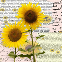 bela-borbolet-a avatar