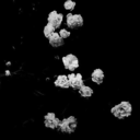 bela-lugosi-undead-blog avatar