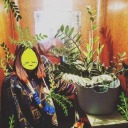 belgahungarikum avatar