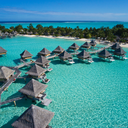 belgischevent avatar