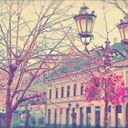 believeandwish avatar