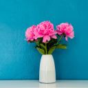 believemedarlin avatar