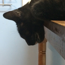 believememylove avatar