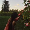 bella-arielle avatar