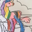 bellabookgirl avatar