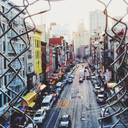 bellaegelidacomelinvernodilondra avatar