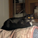 bellagothswifeash avatar