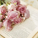 bellapinquecottage avatar