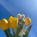 bellarellasstuff avatar