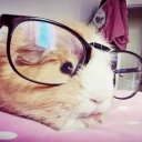 bellarinarina avatar