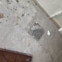 bellaslullabi avatar