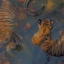 bellcollartiger avatar