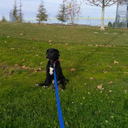 belle-and-darling avatar