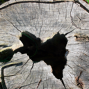 belle-demoiselle-blog avatar